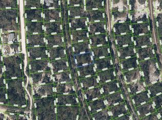 397 Blue Horizon Dr, Lake Placid, FL 33852