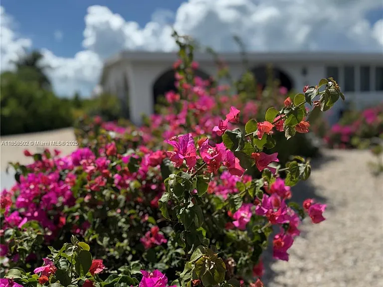 1301 Grouper Dr — Photo 13