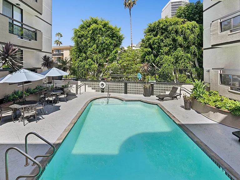 Palm Court — Photo 18