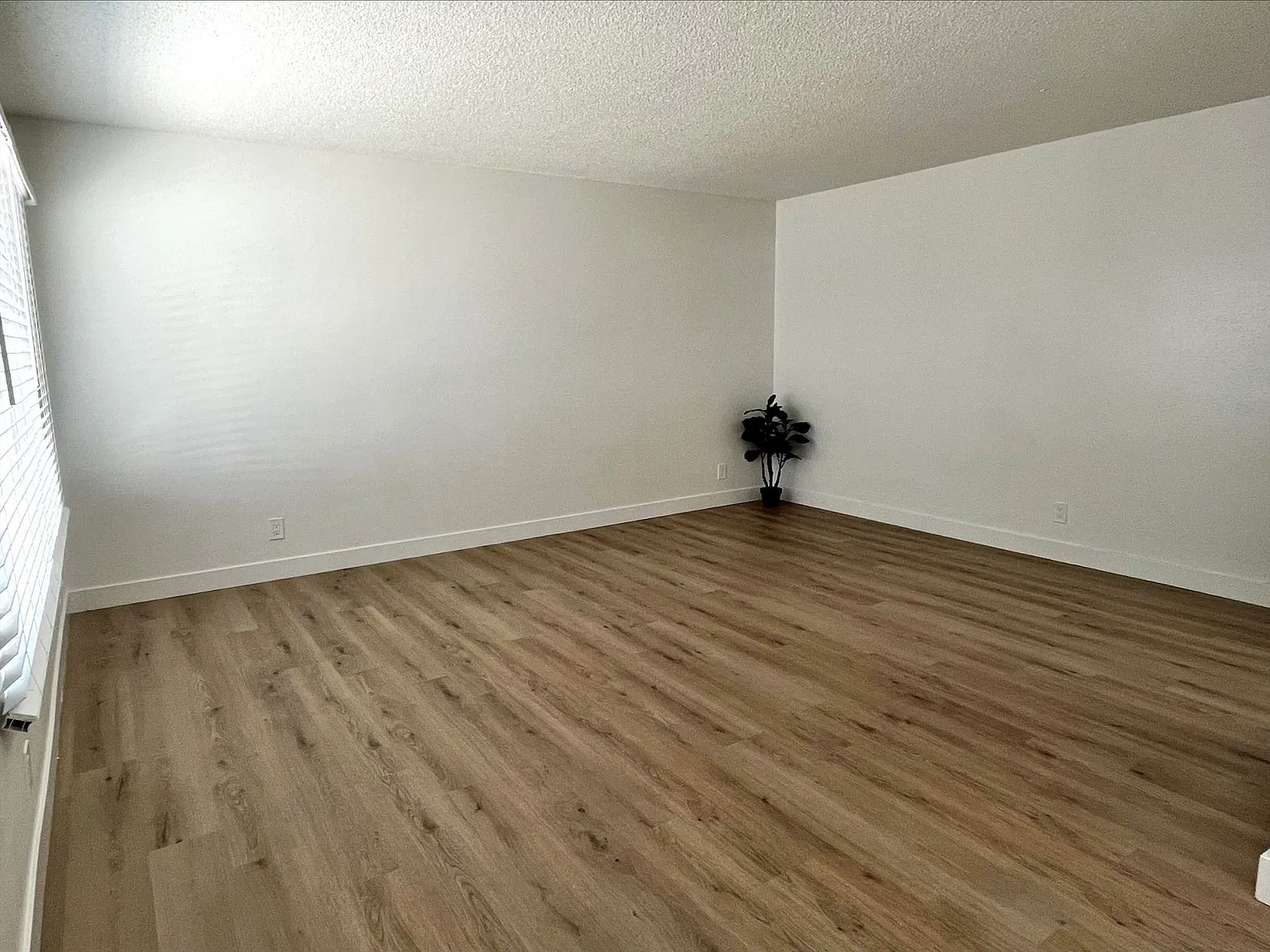 5548 Yarmouth Studio — Photo 3