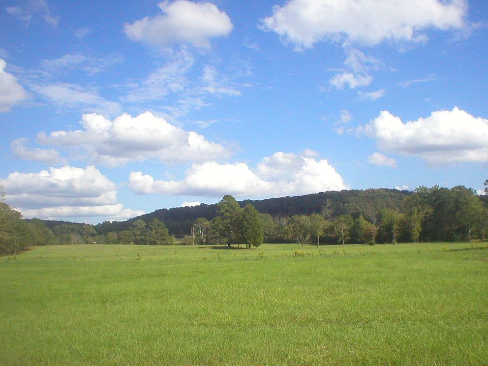 1st image of 15663 Us Highway 411