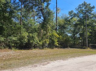 SE Cedar Dr, Branford, FL 32008