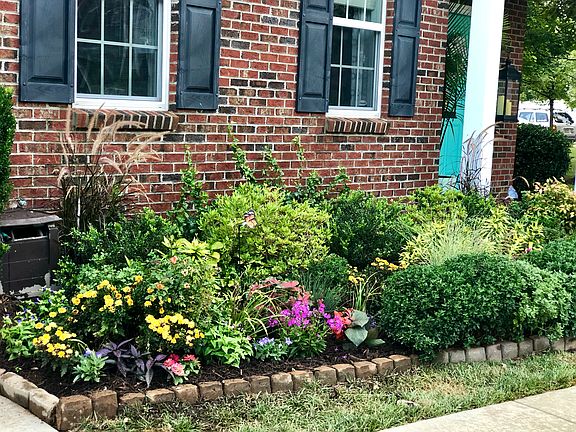 Front yard landscape 