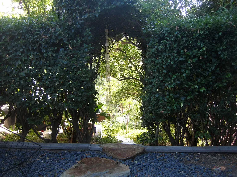 Secret Garden...