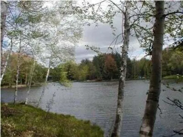 Miramichi Dr Lot 811, Evart, MI 49631