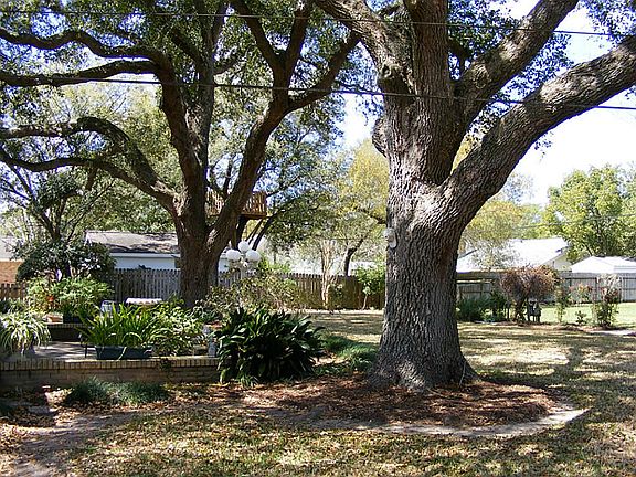 Huge mature oaks in the back yard to provide shade.