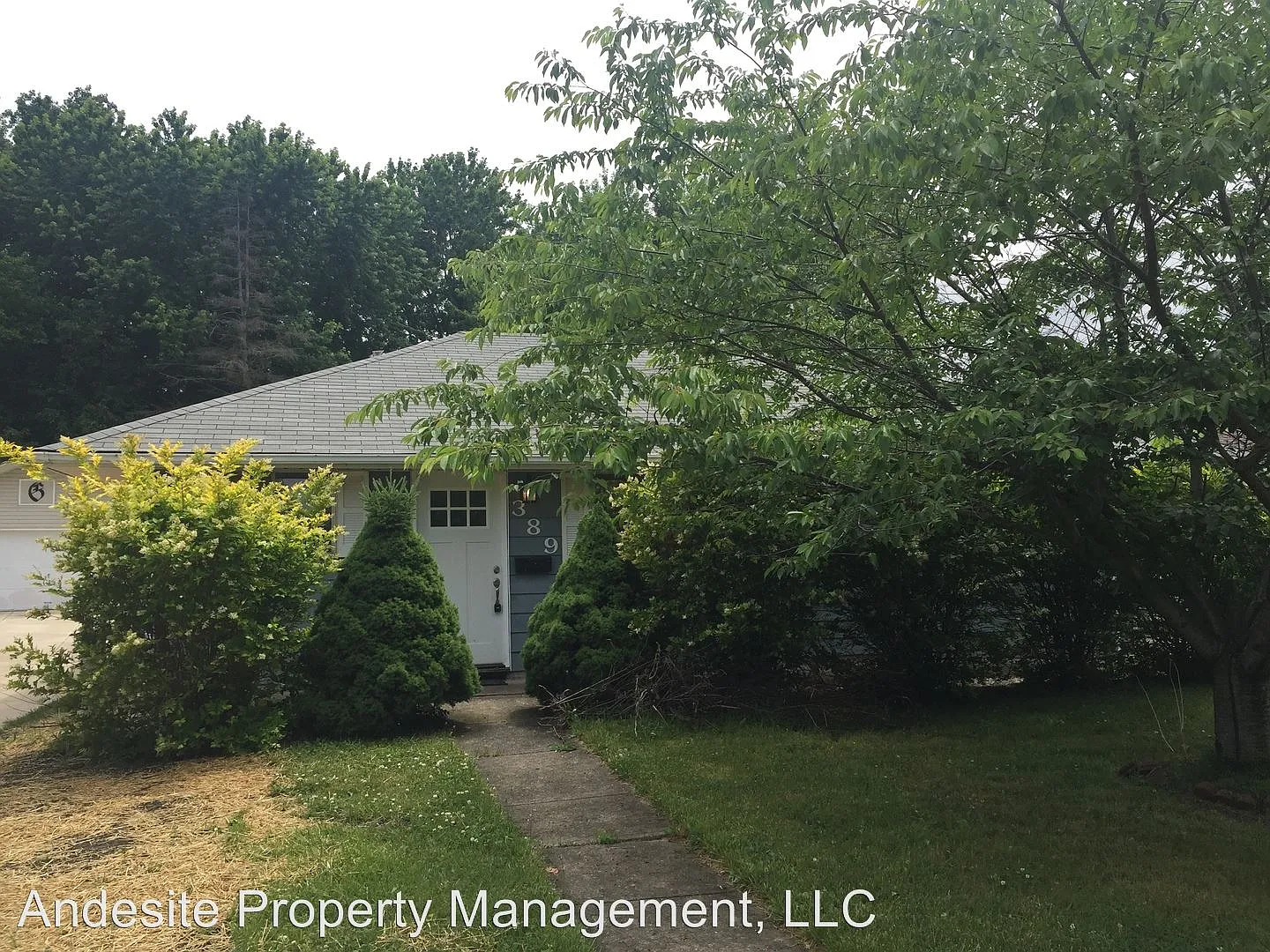 389 Erieview Blvd photo 1