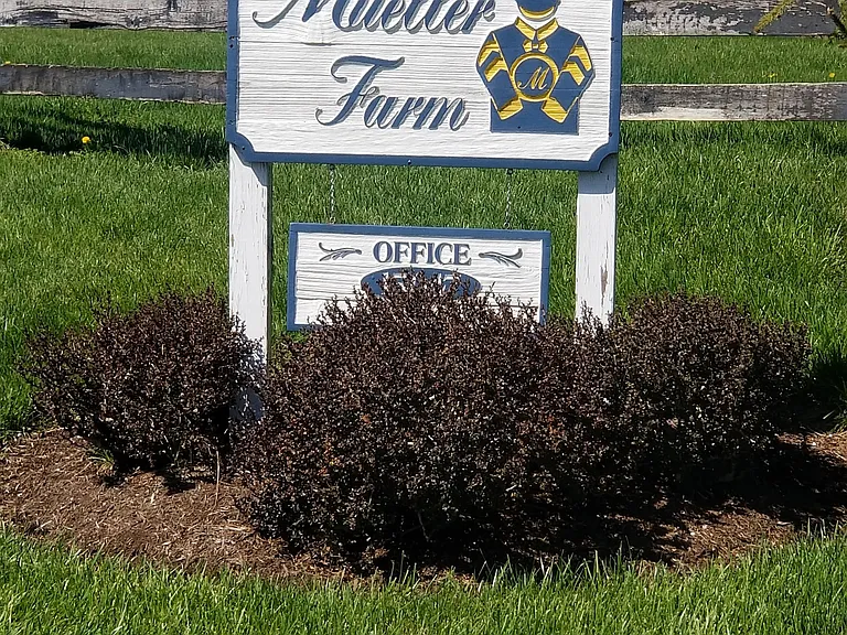 15047B Porter Rd — Photo 16