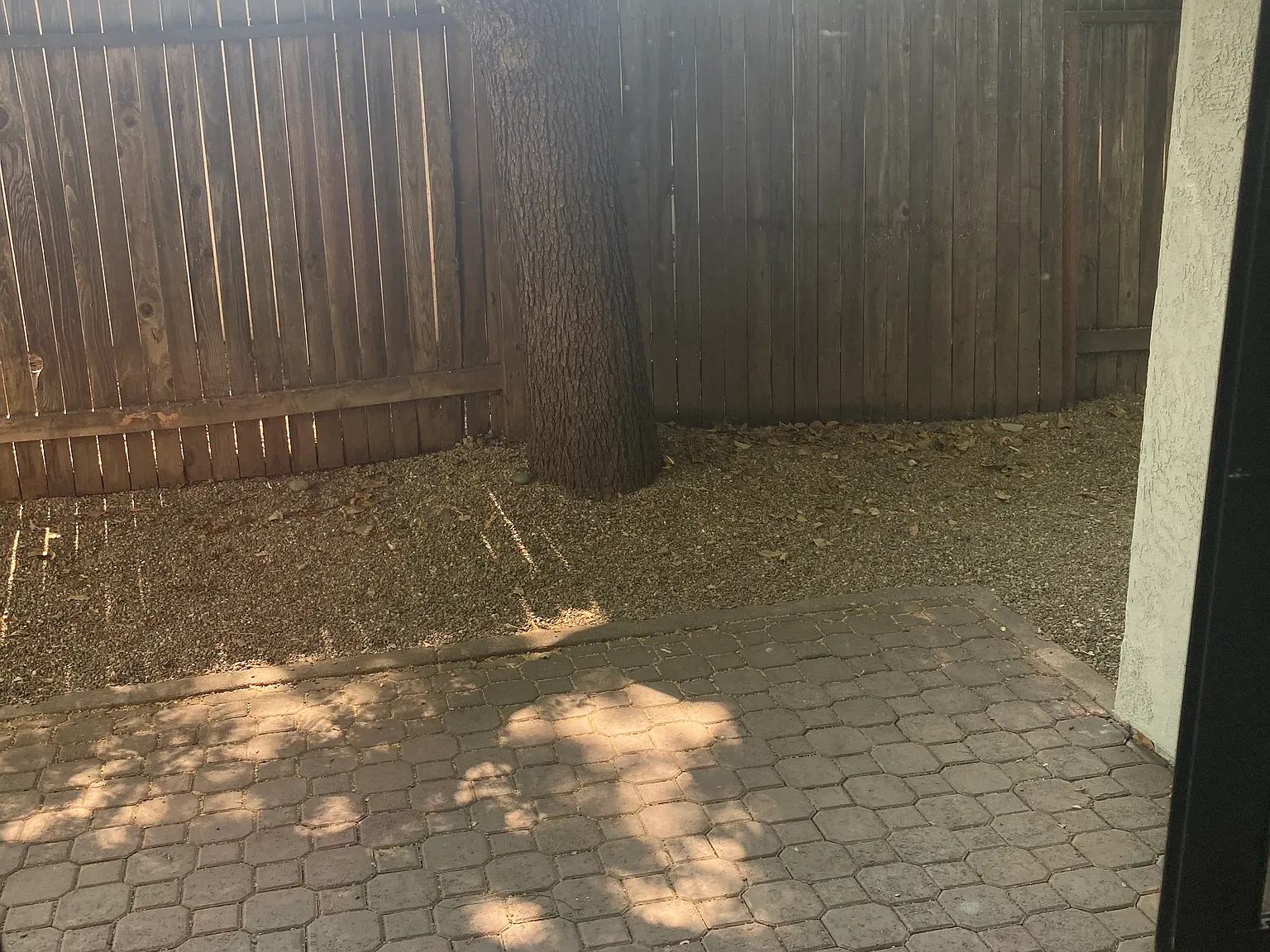 3 bed, 1221 sqft, $850 — Photo 3