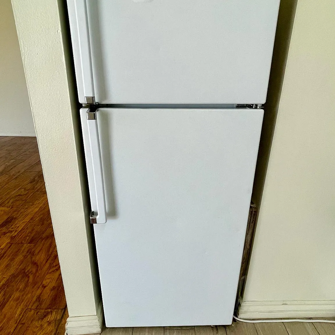 Studio, 482 sqft, $2,000 — Photo 4