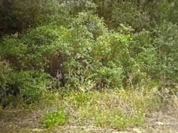 WALTON, DUNNELLON, FL 34434