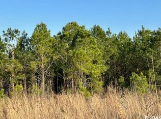 4 McNabb Shortcut Rd, Loris, SC 29569