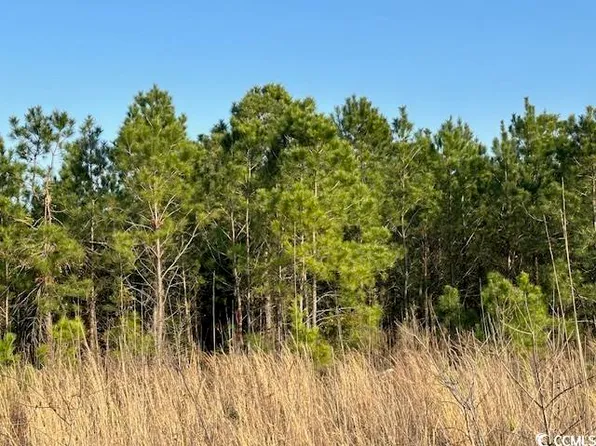TBD Lot 4 McNabb Shortcut Rd., Loris, SC 29569