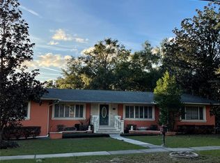 311 N Grandview St, Mount Dora, FL 32757