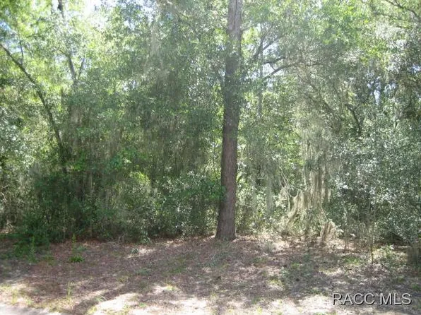 1040 Cornell Ter, Inverness, FL 34452
