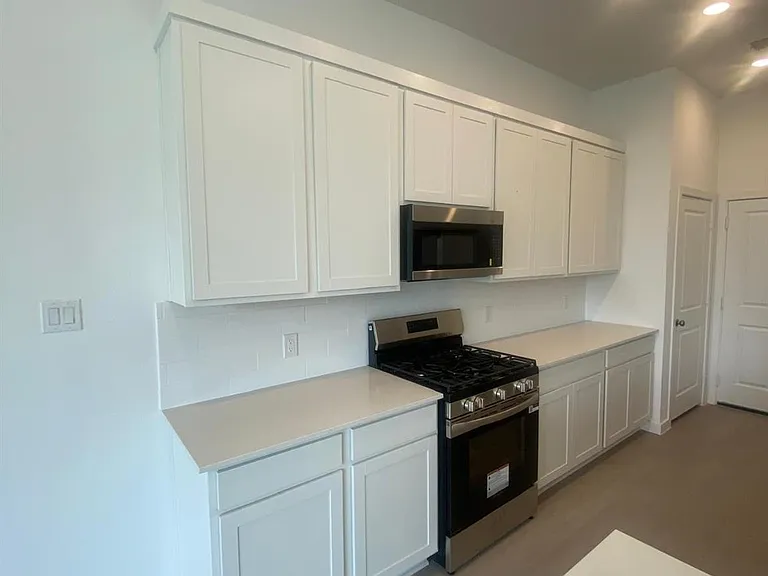 12638 Blue Catfish Ln — Photo 16