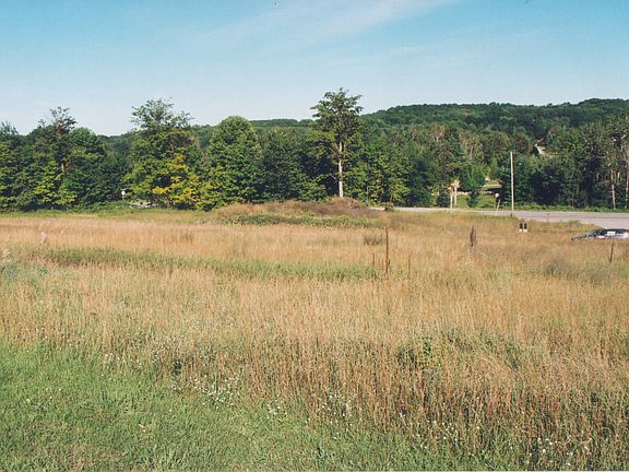 Looking North