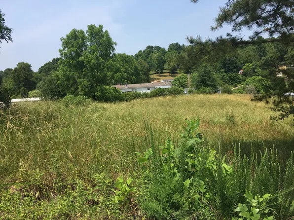 229 Harolds Ln, Tazewell, TN 37879