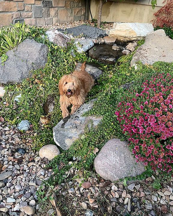 Front water feature