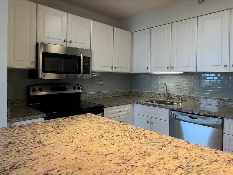 745 N Rush St #3203 — Photo 7