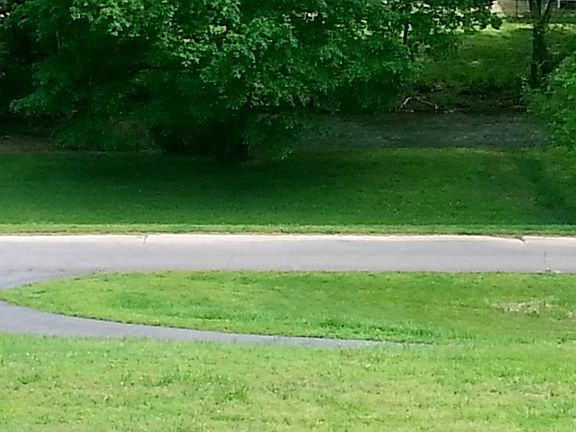 Overlooks a bubbling brook
