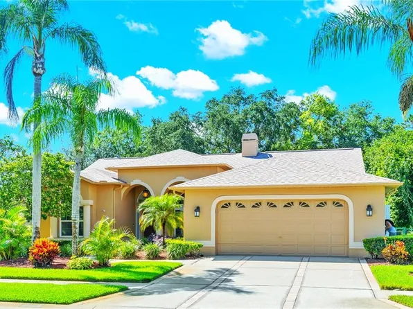 8124 MEADOWVIEW PLACE, TRINITY, FL 34655