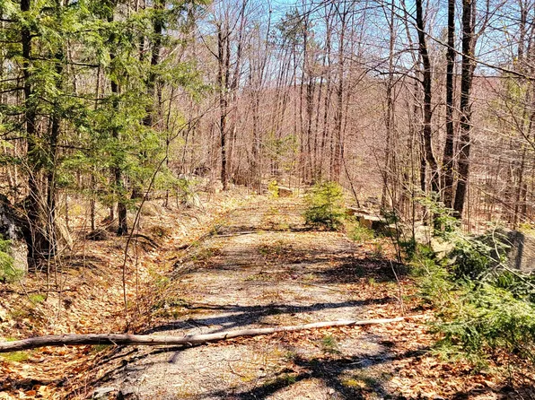 Lot 6 & 7 Yagger Rd Road, Norway, ME 04268