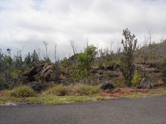 2nd image of 92-9111 Reef Pkwy Lot 24