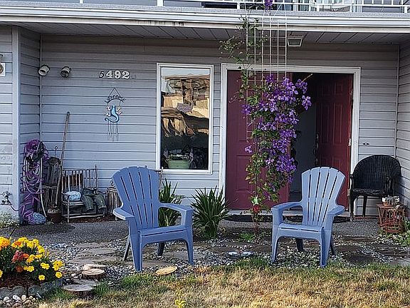 Cala Lily
Summer climbing plant