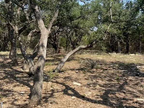 718 Blaze Ridge Blvd LOT 25, Bulverde, TX 78163