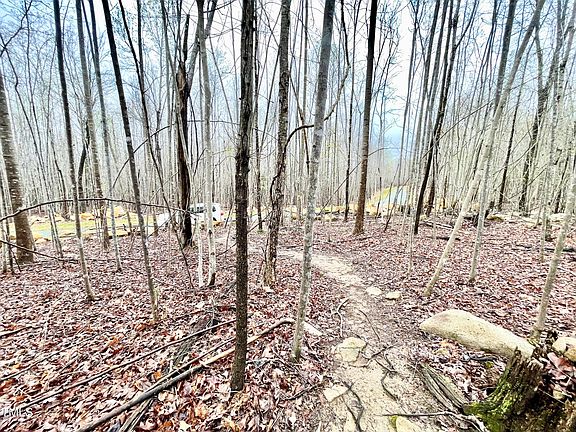 5th image of LOT 4 Lodge Trl Lot 4