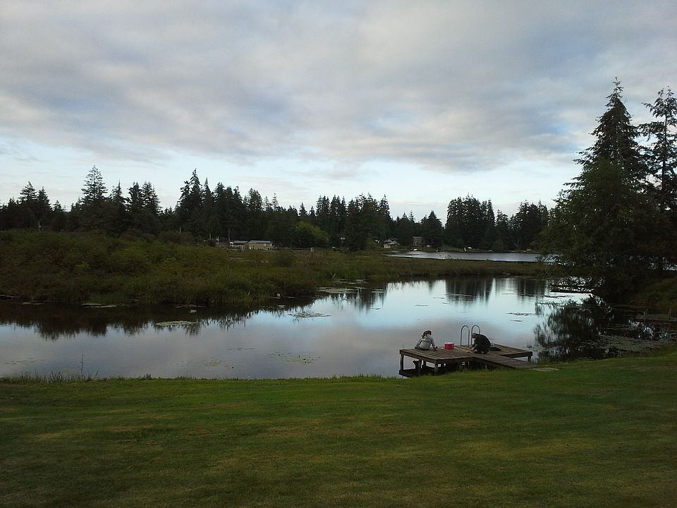 1st image of Satsop Dr