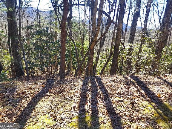 3rd image of LOT 41 Pipetrack Gap Rd