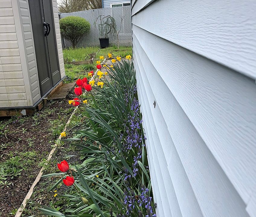 Side and storage shed 
