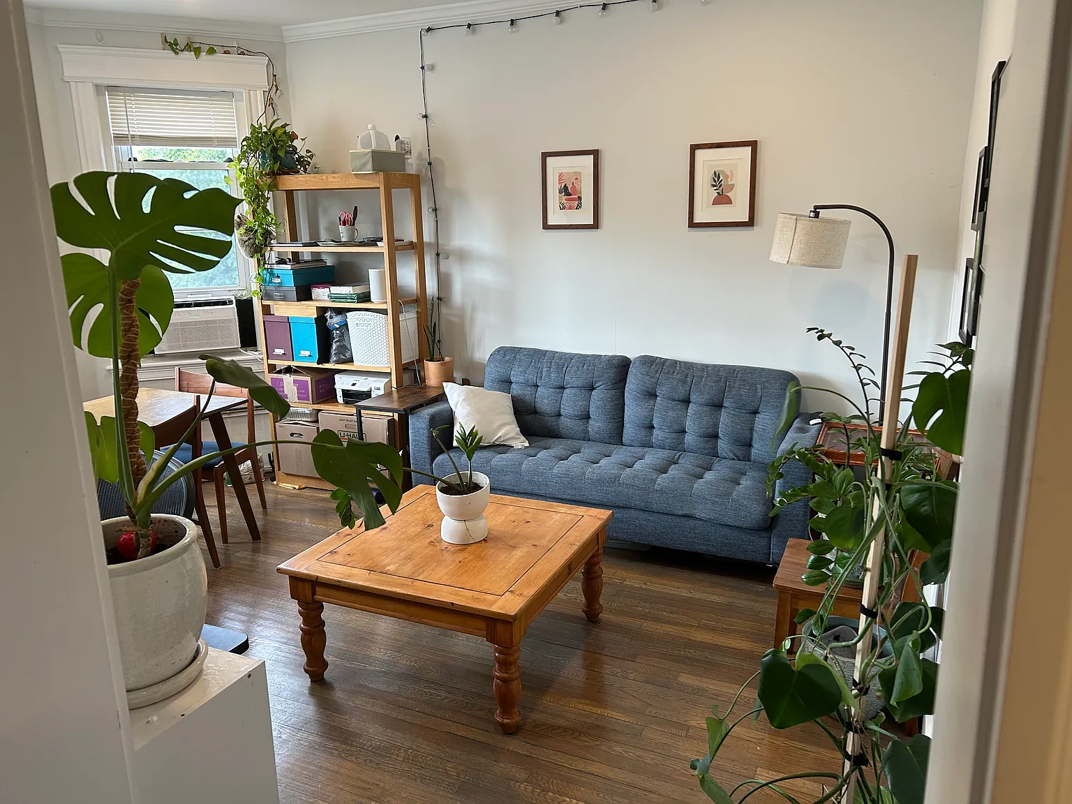 1 bed, $2,999 — Photo 4