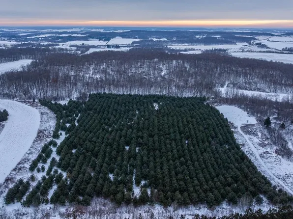 6 1/2 Avenue, Dallas, WI 54733