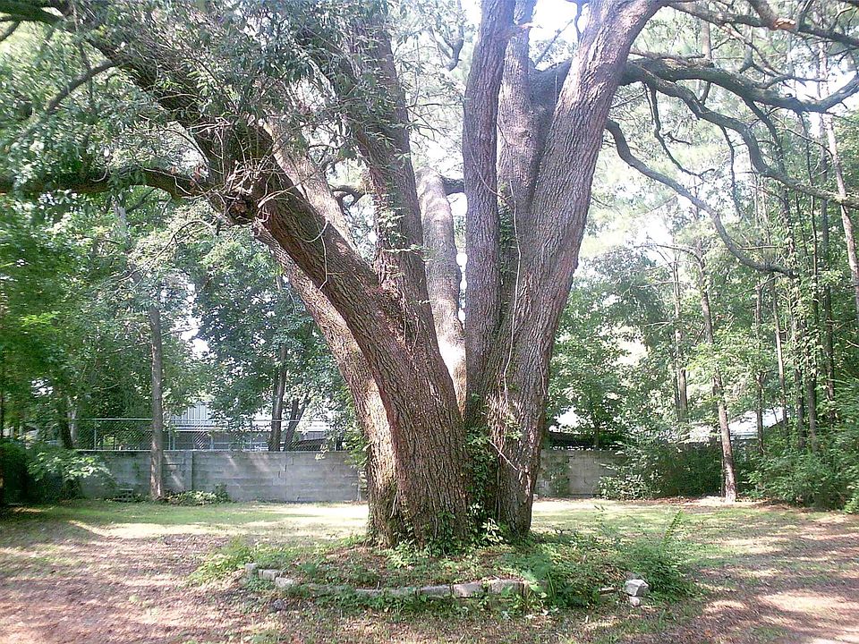 1st image of 1828 Elsey Dr