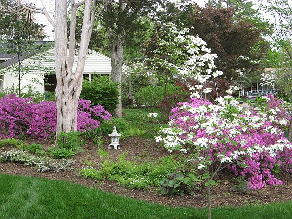 Spring