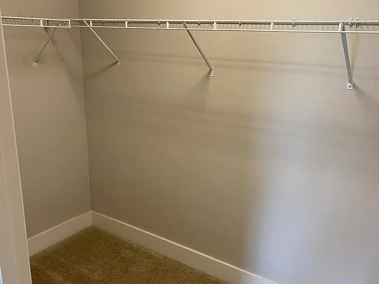 Walk-in Closet with Shelving