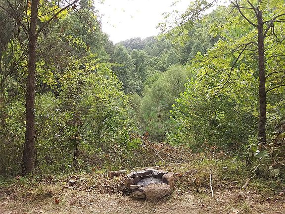 Best campfire view around!