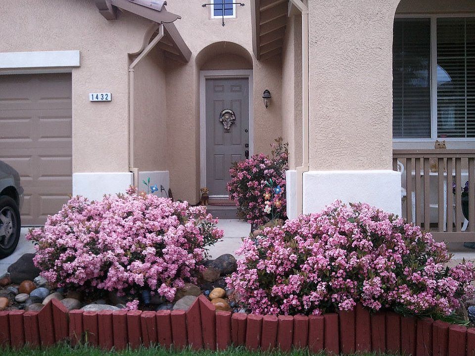 Our front of the house