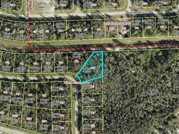 651 Lydia Street, Lehigh Acres, FL 33974