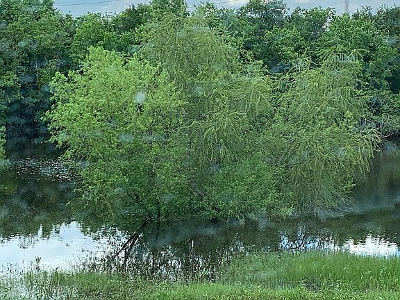 view of tank from rear porch