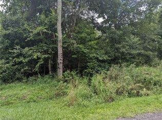 18453 Forbes Rd, Wellsville, OH 43968