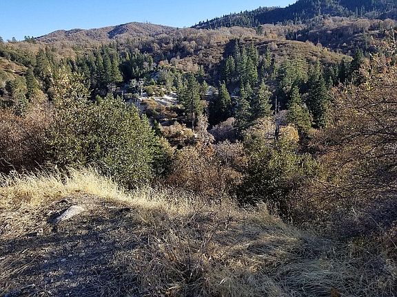 5th image of 0 Cedar Ln