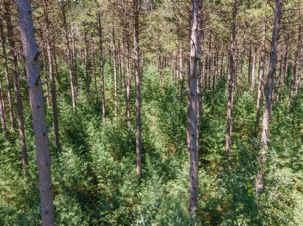 Buttercup Dr, Wautoma, WI 54982