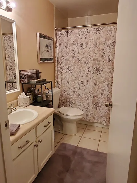 Guest bathroom (Jack & Jill style)
