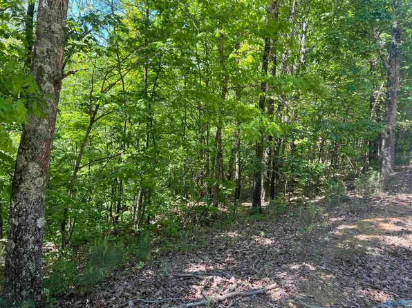 3.38 Acres Pine Trl, Altoona, AL 35952
