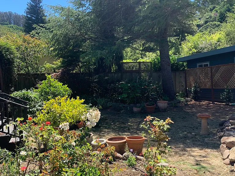 Maple St — Photo 14