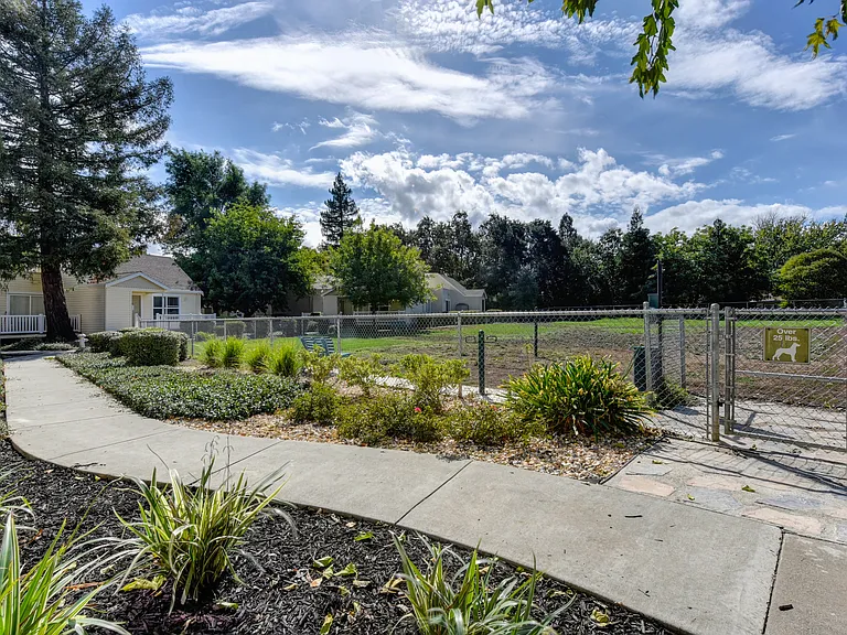 Vineyard Terrace Apartments — Photo 18